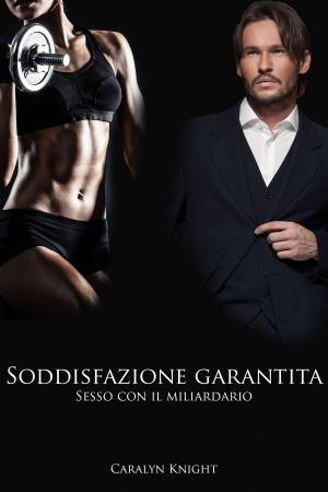 Book cover of Soddisfazione garantita