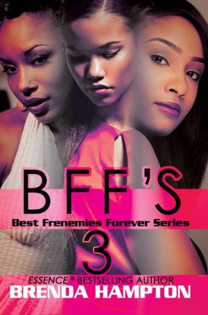 Cover of the book BFF'S 3 by Patricia Haley