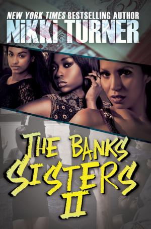 Cover of the book The Banks Sisters 2 by E.N. Joy
