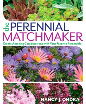 Book cover of The Perennial Matchmaker