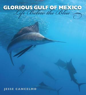 Cover of the book Glorious Gulf of Mexico by James H. Willbanks