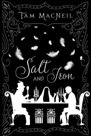 Cover of the book Salt and Iron by Jeff Erno