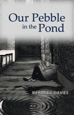 Cover of the book Our Pebble in the Pond by Shawn D. Brink