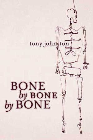 Cover of the book Bone by Bone by Bone by Emilio Calderón