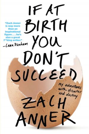 Cover of the book If at Birth You Don't Succeed by Paula Cocozza