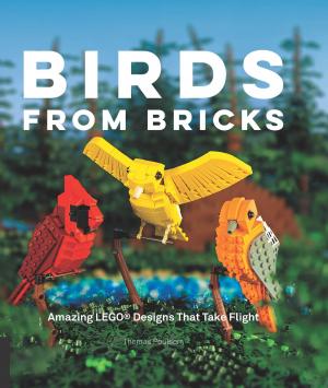 Cover of the book Birds from Bricks by Petra Ahnert