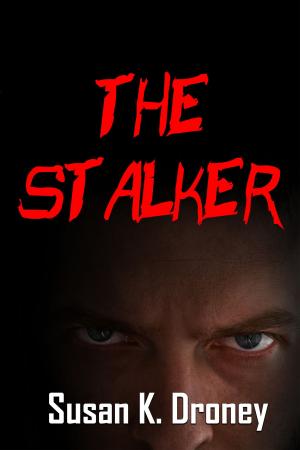 bigCover of the book The Stalker by 