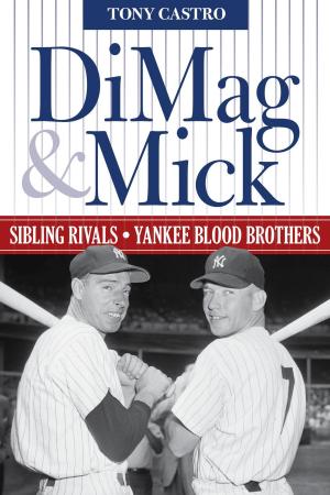 Cover of the book DiMag & Mick by David Day