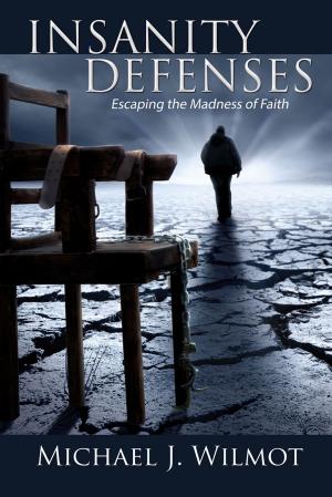 Cover of the book Insanity Defenses: Escaping the Madness of Faith by Dr. Michelle Bengtson