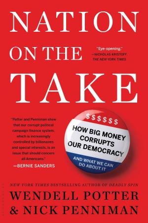Cover of the book Nation on the Take by Dr Stephen Turnbull