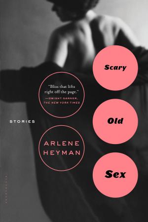 Cover of the book Scary Old Sex by Robin Mitchell-Boyask