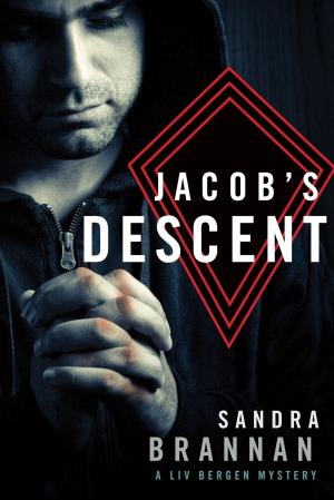 Cover of the book Jacob's Descent by Thomas C. Sanger