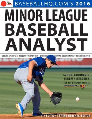 Book cover of 2016 Minor League Baseball Analyst