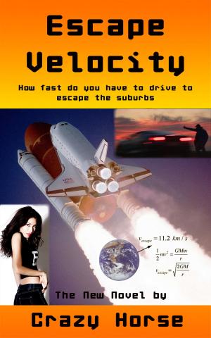 Book cover of Escape Velocity