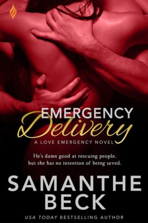 Cover of the book Emergency Delivery by Linda Morris