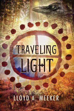 Cover of the book Traveling Light by Kim Fielding