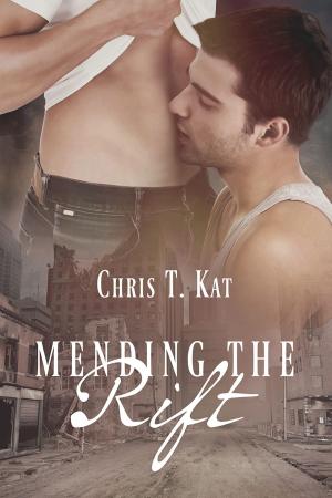 Cover of the book Mending the Rift by Jordan L. Hawk, Rhys Ford, TA Moore, Ginn Hale, C.S. Poe, Jordan Castillo Price