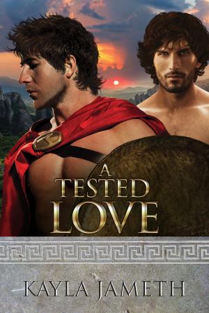 Cover of the book A Tested Love by Allison Cassatta