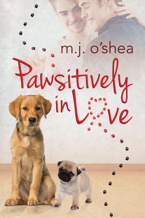 Cover of the book Pawsitively in Love by Madeleine Urban, Rhianne Aile