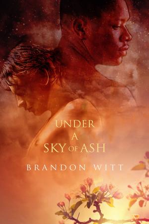 Cover of the book Under a Sky of Ash by Amy Lane