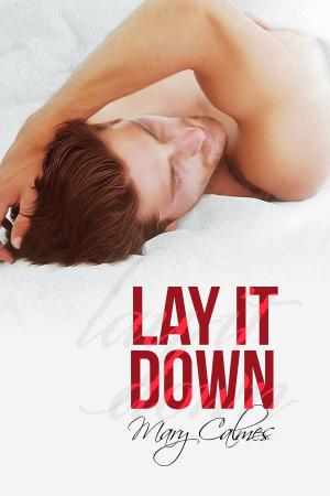 Book cover of Lay It Down
