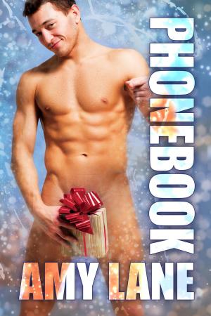 Cover of the book Phonebook by M.J. O'Shea