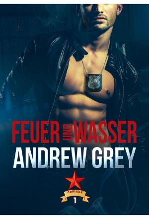 Cover of the book Feuer und Wasser by Robin Saxon, Alex Kidwell