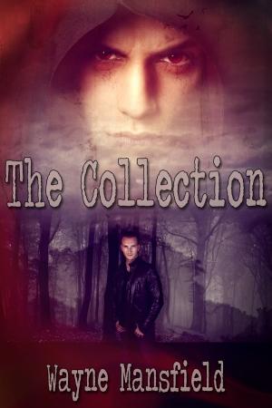 Cover of the book The Collection by JL Merrow