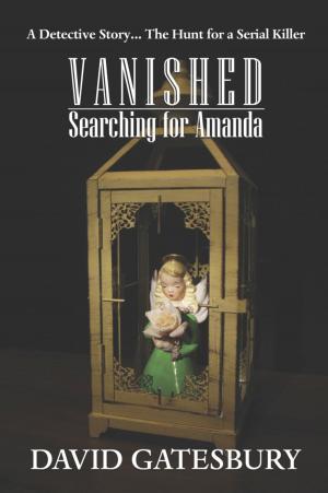 Cover of the book Vanished: Searching For Amanda by Norman Sinclair