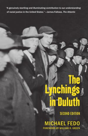 bigCover of the book The Lynchings in Duluth by 