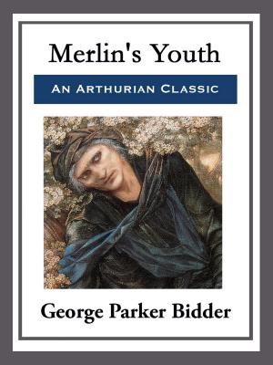 Cover of the book Merlin's Youth by Booker T. Washington