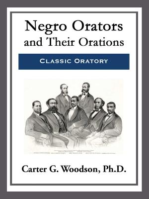 Cover of the book Negro Orators and Their Orations by J Tripp