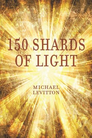 Cover of the book 150 Shards of Light by Bruce Wilson