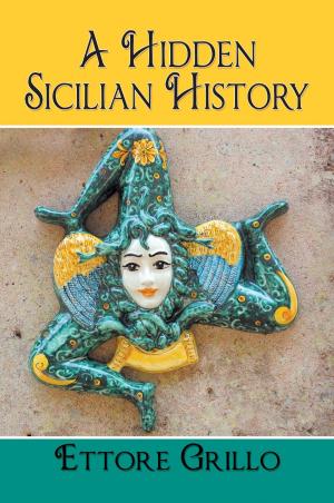 Cover of the book A Hidden Sicilian History by P.G. Baily