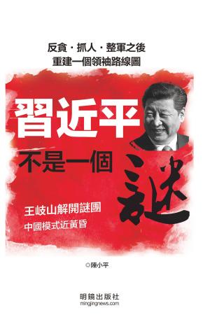 Cover of the book 《習近平不是一個謎》 by Robynn Gabel