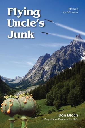 Book cover of Flying Uncle's Junk