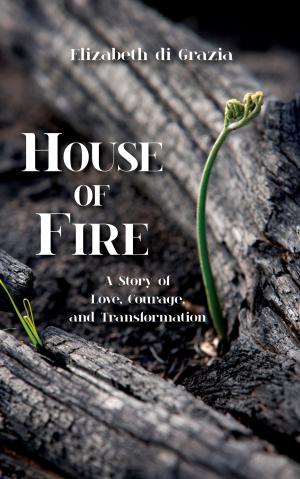 Cover of the book House of Fire by Karlajean Jirik Becvar
