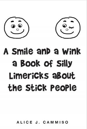 Cover of the book A Smile and a Wink a Book of Silly Limericks about the Stick People by Mary E Buras-Conway