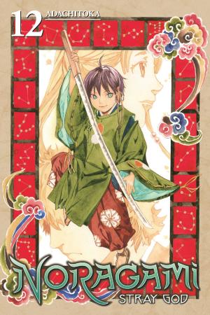 Cover of Noragami: Stray God