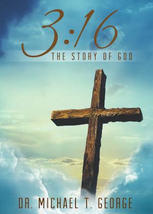 Cover of the book 3:16 by Michael Bonner