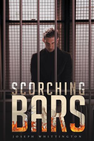Cover of the book Scorching Bars by Mark Gimenez