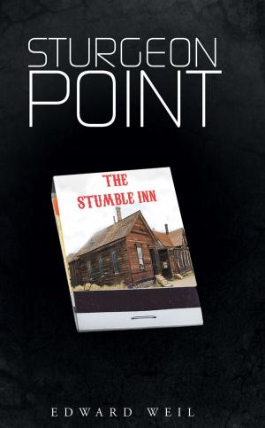 bigCover of the book Sturgeon Point by 