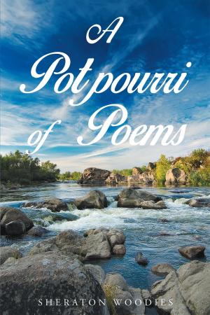 Cover of the book A Potpourri of Poems by J. Howard Brown