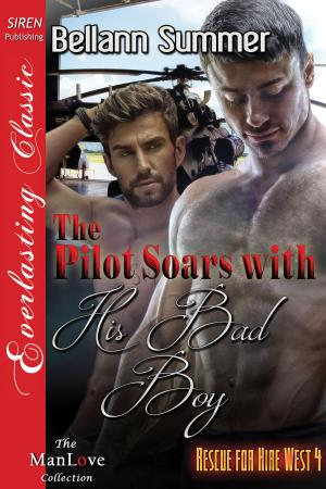 Cover of the book The Pilot Soars with His Bad Boy by Camile Carson