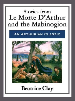 Cover of the book Stories from Le Morte D'Arthur and the Mabinogion by George Parker Bidder