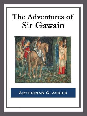 Cover of the book The Adventures of Sir Gawain by Edgar Rice Burroughs