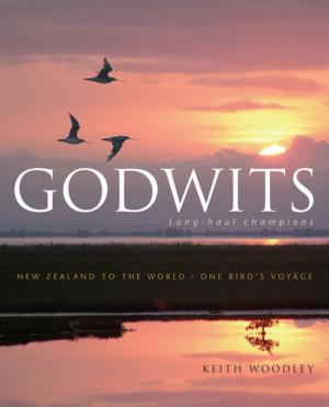 Cover of the book Godwits by Jack Lasenby
