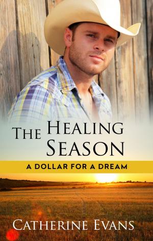 Book cover of The Healing Season
