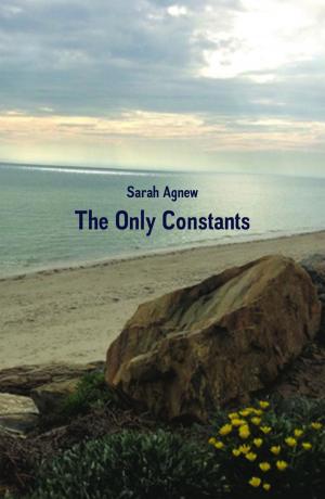 bigCover of the book Only Constants by 