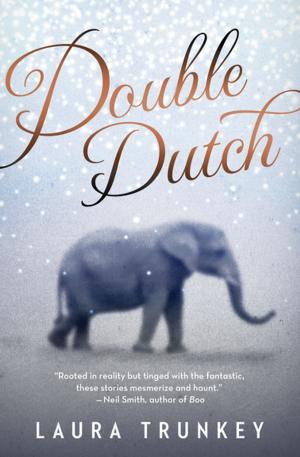 Cover of the book Double Dutch by Zoe Whittall